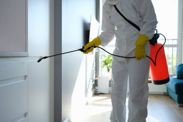 Mold Remediation for Vacation Homes in Falls City, NE